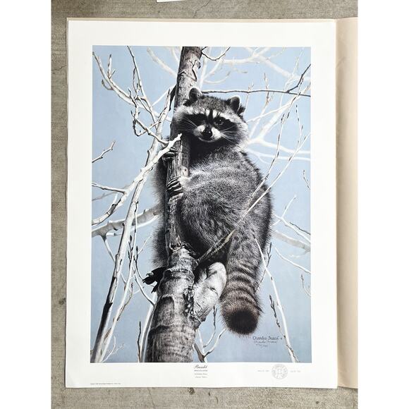 1984 Charles Fracé “Bandit, Raccoon” Large Signed Lithograph Print 30”X22” w/COA - Picture 6 of 11